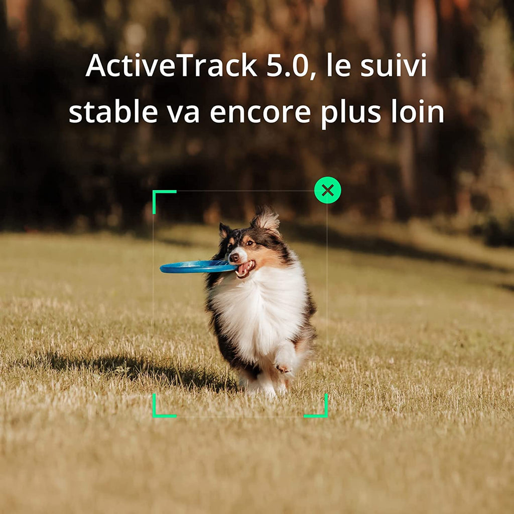 DJI OSMO MOBILE SE STABILISATEUR VIDEO POUR SMARTPHONE (GRIS)